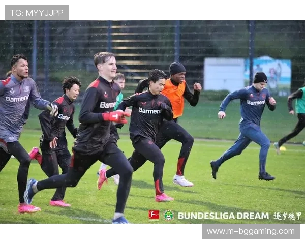 足球青训体系成效显著,德国年轻球员持续涌现